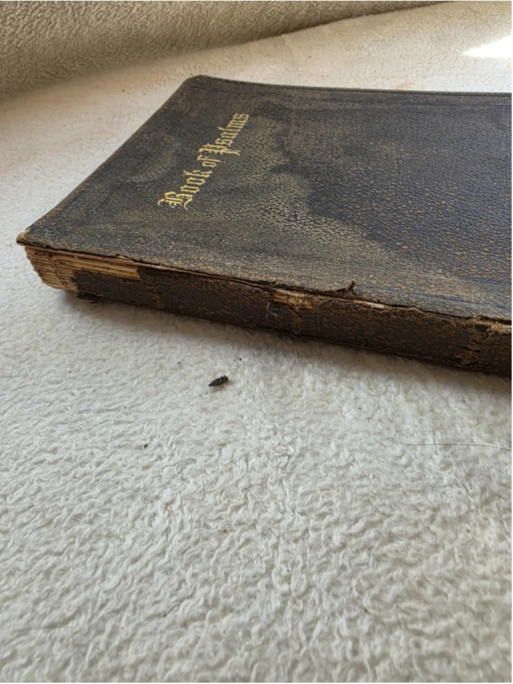Antique 1880 Book of Psalms Leather American Bible Society Great Primer Octavo